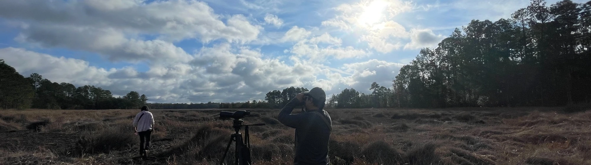 Field observation in an open landscape beneath a broad sky.