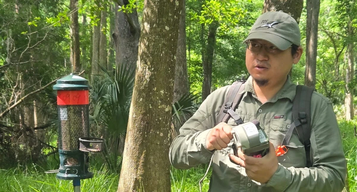 Po-An Chen working beside an experimental bird feeder in a wooded field site.